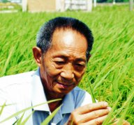 太阳城在线娱乐被誉为“