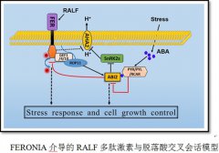 太阳城在线娱乐湖南大学
